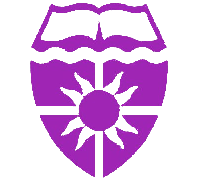 University of St. Thomas Mini MBA